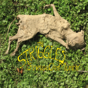 The Striggles Band Music Austria Striggcatmummy Album Artwork