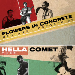 Flowers in Concrete Band Hella Comet Band Artwork Split Vinyl Single Austria