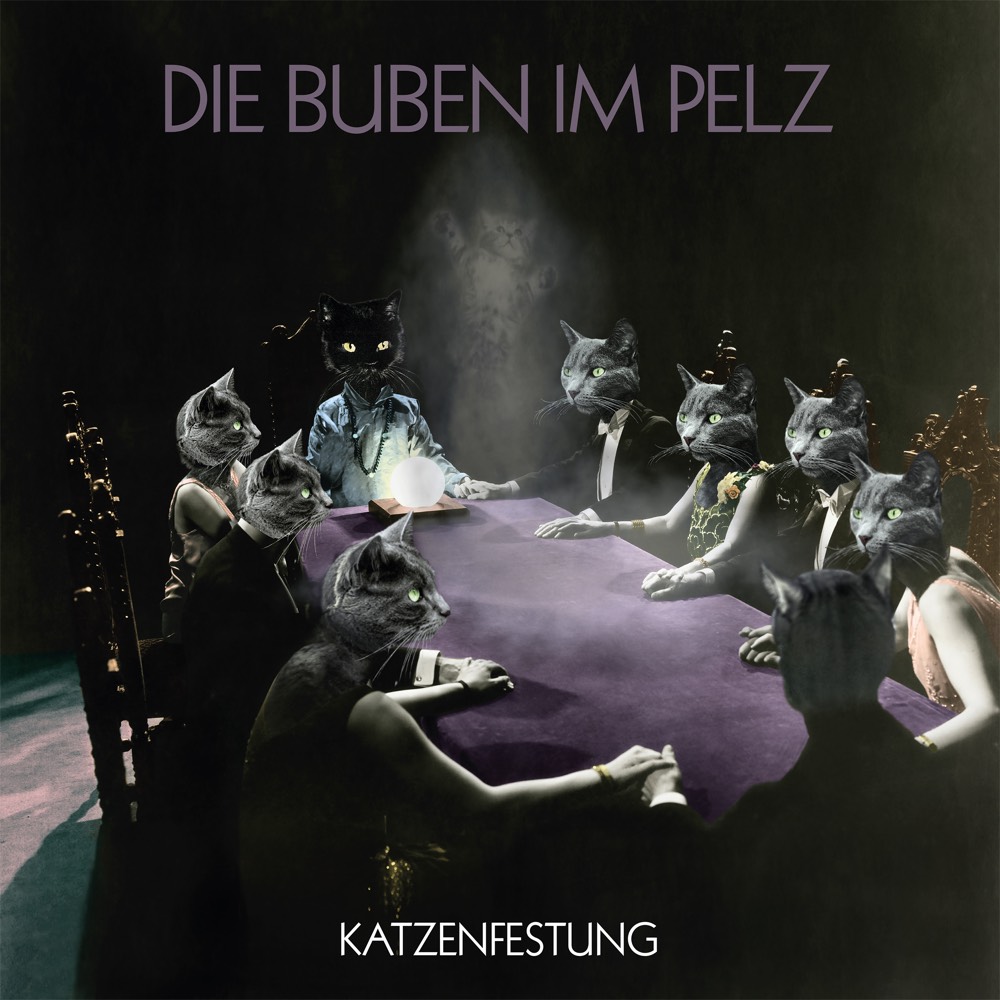Die Buben im Pelz Band Katzenfestung Cover